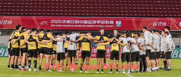 华体会hth官方网站下载-法甲比赛中的数据采集与技术支持体系