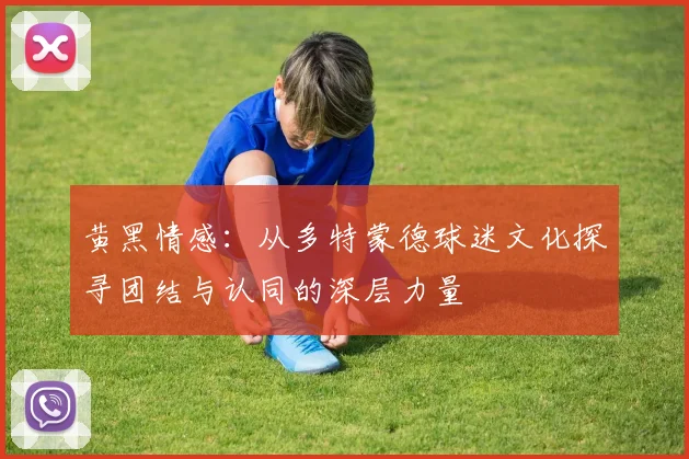 黄黑情感：从多特蒙德球迷文化探寻团结与认同的深层力量