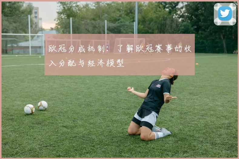欧冠分成机制：了解欧冠赛事的收入分配与经济模型
